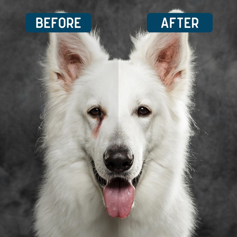 Tear Stain Remover for Dogs 2 Pack - 4 oz