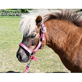 Rhinegold Unicorn Headcollar and Rope Set - Pony - Raspberry