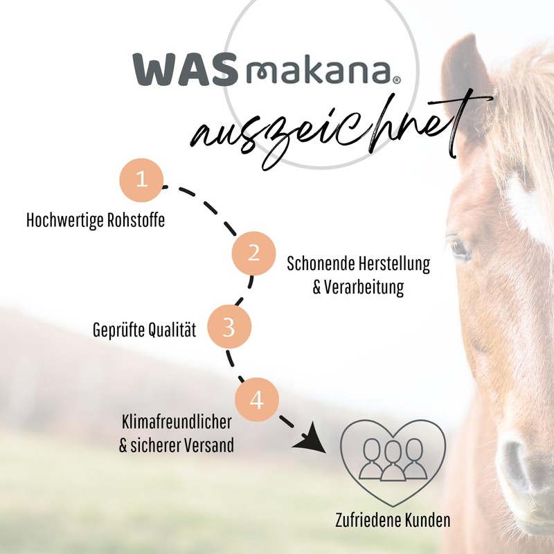 Makana Electrolyte Powder Single Pack 1 x 1 Kg