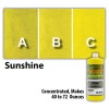 Concrete Resurrection Professional Easy to Apply Water Based Concrete Stain