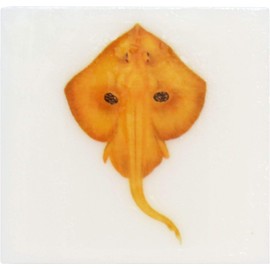 Eclectic Lady Orange Creamsicle Scented Glycerin Soap with Vintage Ocean Creatures, Stingray