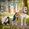 Dollephi Dog Knee Brace for Torn ACL Hind Leg, Hot/Cold