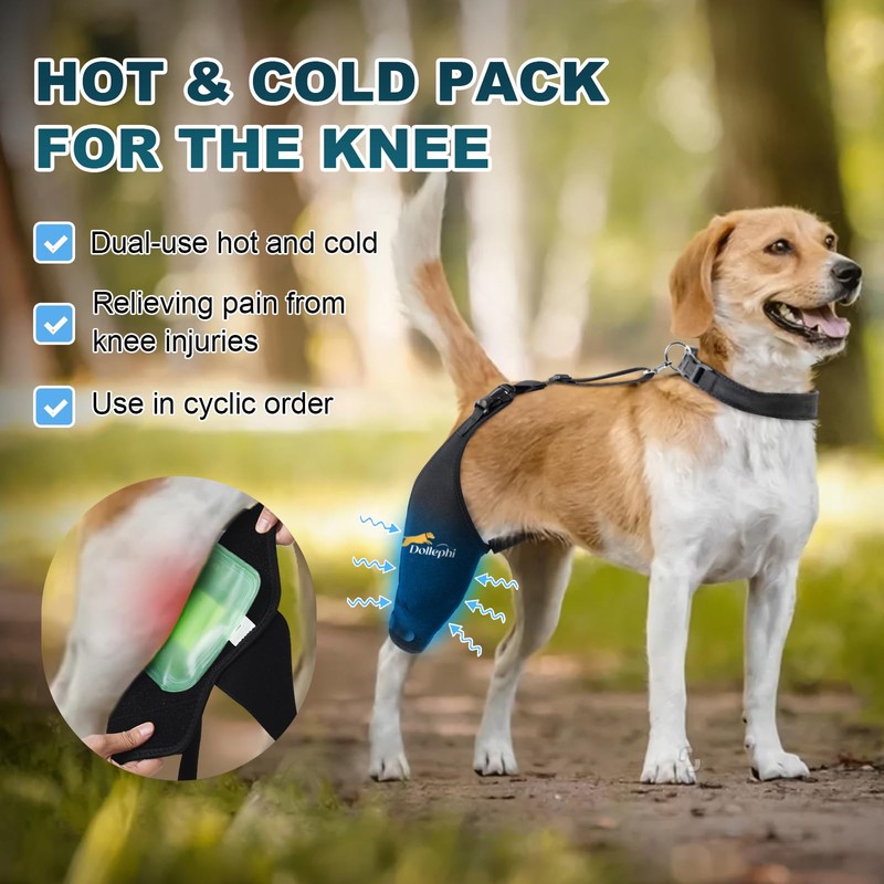 Dollephi Dog Knee Brace for Torn ACL Hind Leg, Hot/Cold