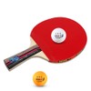 Ping Pong Paddles Quality Table Tennis Rackets 2 Ping Pong