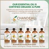Chandeau Essentials 100% Pure Organic Essential Oil, Pure Eucalyptus Essential