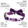 Cutesy Pet | Designer Dog Collar with Adjustable Bow |