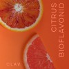 UD_Citrus Bioflavonoids Vegan Flavonoids Supplements Made from Bitter Orange and