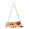Hermit Crab Climbing Toy, Natural Wooden Reptile Swing Toy, Pet