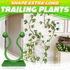 Plant Wall Clips for Climbing Plants 110 Pcs - Pothos