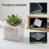 Wowang 2 Pack Clear Square Acrylic Vases 4 X 4