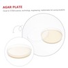 Mobestech 10pcs Nutrient Agar Petri Dish Plates Sterile Agar Medium