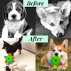CIIVURR Snuffle Ball for Dog Toys, Dog Puzzle Toy, Interactive