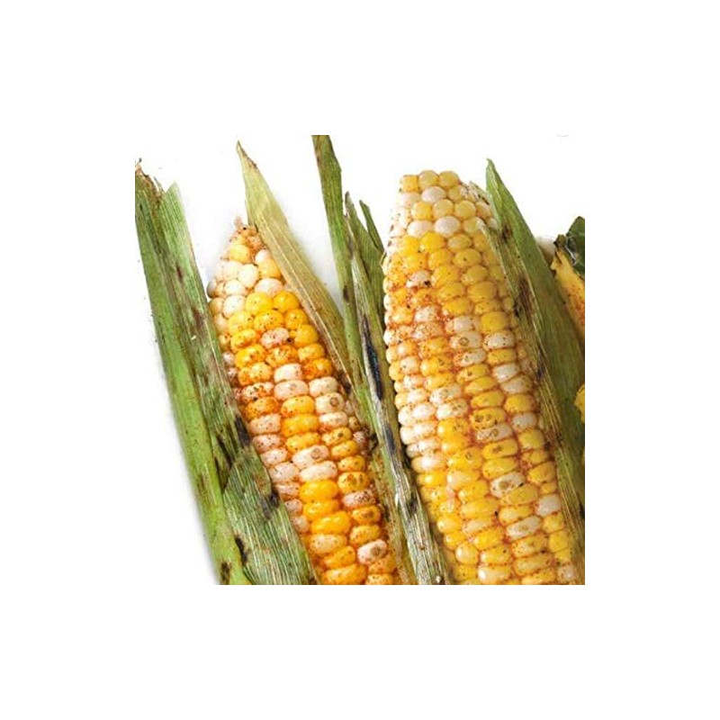 Urban Accents Corn on the Cob Vegetable Seasoning, Chile Lime