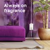 Glade PlugIns Air Freshener Oil Refill, Scented and Essential Oils