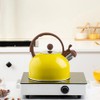 Whistling Kettle, 2.5L Stainless Steel Cooktop Kettle with Handle, Travel