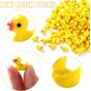 JOISHOP 200pcs Mini Ducks, Resin Tiny Ducks Little Plastic Ducks