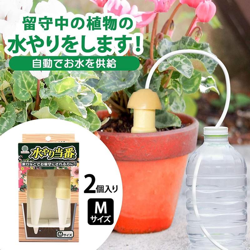 Maruhachisangyou 104031 Watering Duty M (Pack of 2) Beige