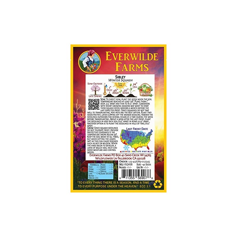 Everwilde Farms - 1 Oz Sibley Winter Squash Seeds -