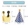 TKY Birthday Hat, Party Hat, Triangle Hat, Crown, Birthday, Celebration,