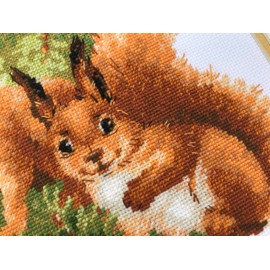 Riolis Stickbild-Set, Motiv Eichhörnchen, Zählstoff, Mittel