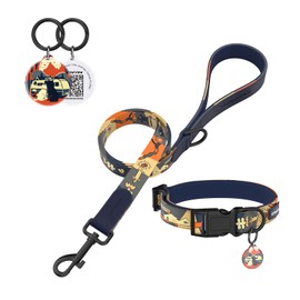 PawView Hundehalsband & Leine Set mit Smart ID Tag – verstellbar, wasserdicht & bequem – für kleine, mittelgroße und große Hunde (L, Nachthimmel, 41–66 cm)
