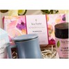 TEA FORTE, "Mariposa" Petite Presentation Box Assortment of 10 Teas