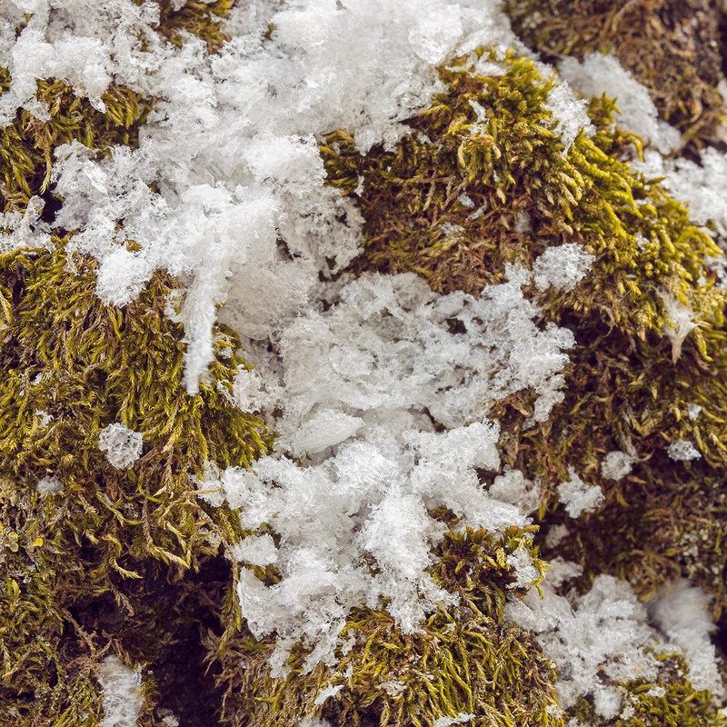 feiermeier Snow in Bag 3 Litres Decorative Snow Organic Biodegradable