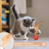 WADY 3PCS Interactive Feather Ball Toy for Cats - Bouncy