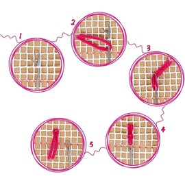 Latch Hook Kits for Adults, Latch Hook Rug Kit, Cross Stitch Rug Making Kit, Carpet Making Crochet Kits Embroidery Kits Needlework Crafts for Home Decor, 50X38CM, Fire-Breathing Dragon