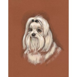 11x14 PRINT OF PAINTING RYTA MALTESE DOG PET PORTRAIT TOY PUPPY FINE WALL ART