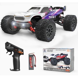 STREETSTAR 1/16 Scale All Terrain RC Car, 40KPH High Speed 4WD Electric Vehicle with 2.4 GHz Remote Control, Waterproof, 1800mAh Li-Po, 30+ Min Playtime - TR-16 Purple.