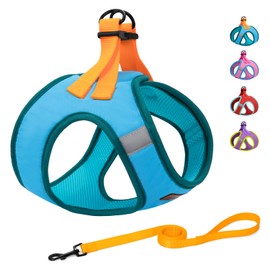 Dog Harness with Leash Set, No Pull Dog Harness for Easy Walk, Adjustable Reflective All Weather Step-in Puppy Harness with Soft Mesh Padded Pet Vest for Small Medium Large Dogs and Cats(Blue,S)