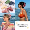 Hapdoo Hawaiian Flower Hair Clips for Women, 5PCS Plumeria Beach