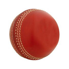 Gray-Nicolls Mini Leather Cricket Ball - Red - Mini
