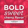 SoftLips Softlips Lip Protectant/Sunscreen Value Pack Cherry 2 ea
