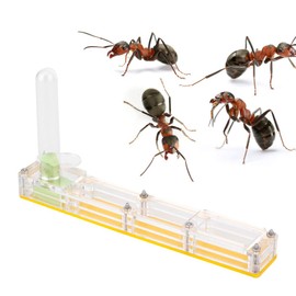 GOTOTOP Ant Farm, Ant Nest Transparent Acrylic Ant Nesting Box, Ant House for Feeding Ants (Yellow)