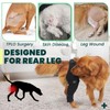 Joypig Joypig Dog Rear Leg Sleeve to Prevent Licking -
