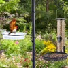 BACKYARD EXPRESSIONS PATIO · HOME · GARDEN Bird Feeding Station