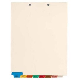 Doctor Stuff - Stock Medical Chart Divider Sets, Set of 8 Index Tabs, Bottom Tab, 8-1/2" x 11-3/8", Tabbies 54500 Style Compatible, 40 Sets per Box
