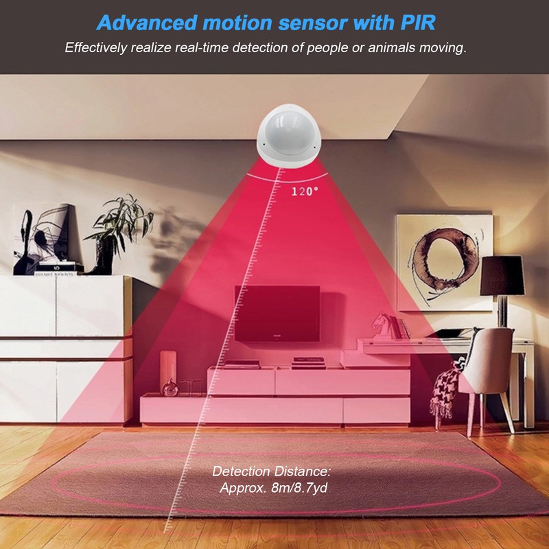 Intelligent WIFI Human Body Motion Sensor 120° Remote Control USB
