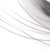Fashewelry 984 Feet Tiger Tail Beading Wire 0.2mm Thin Steel