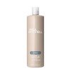 Paul Mitchell The Detangler 500ml