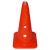 Agility Dog Sports, Multi-Purpose Cone with Holes, 40 cm, Various