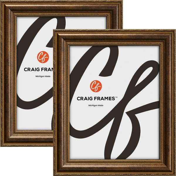 Craig Frames Victoria, 15x19 Picture Frame, Ornate Bronze, Set of