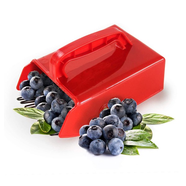 Blueberry Picker and Collector Rake, Hand Garden Farm Tool with
