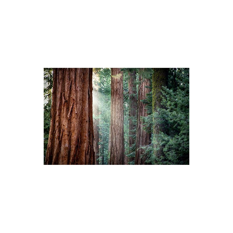 SORAA Brilliant HL MR16 GU10 High Lumen LED 7.5 Watt