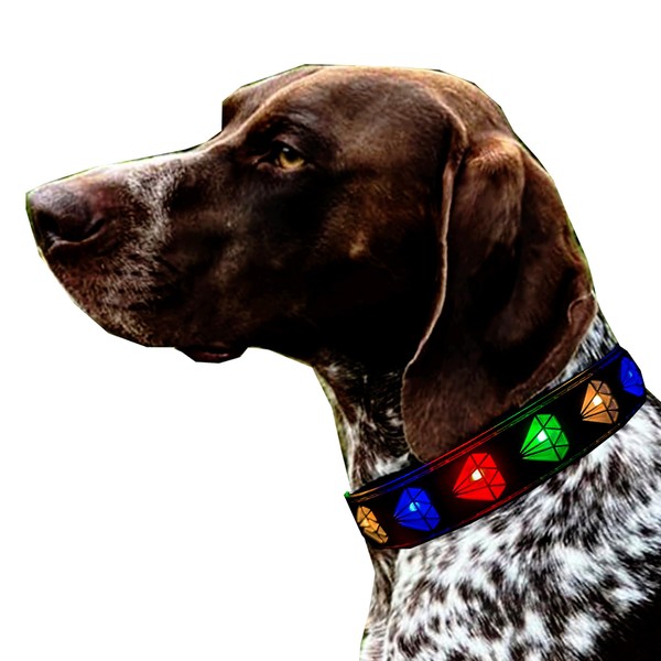 Dog Collar USB Rechargeable LED Light Up Dog Collar Adjustable