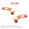 Sakurai Boeki #54147 Erugam Fitness Ball, Abdominal Muscle Tama
