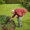 JJIW 3 Pcs Weed Puller, Weeding Tool, Gardening Tools Enables