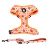 COOWONE Dog Leash and Harness Set, Soft Lightweight Mesh Step-in